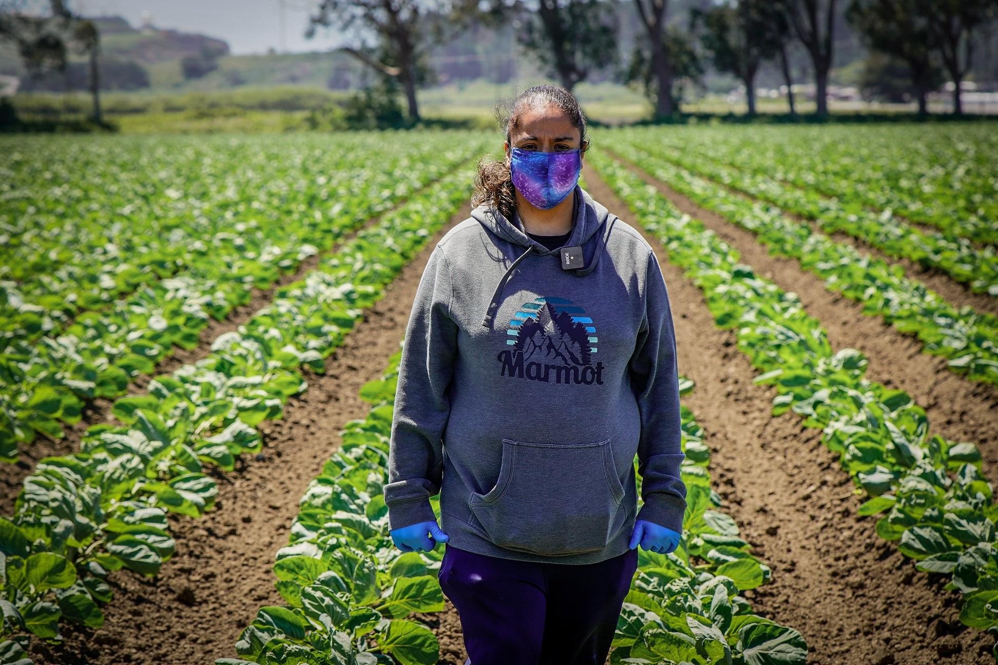 Voluntaria en el campo