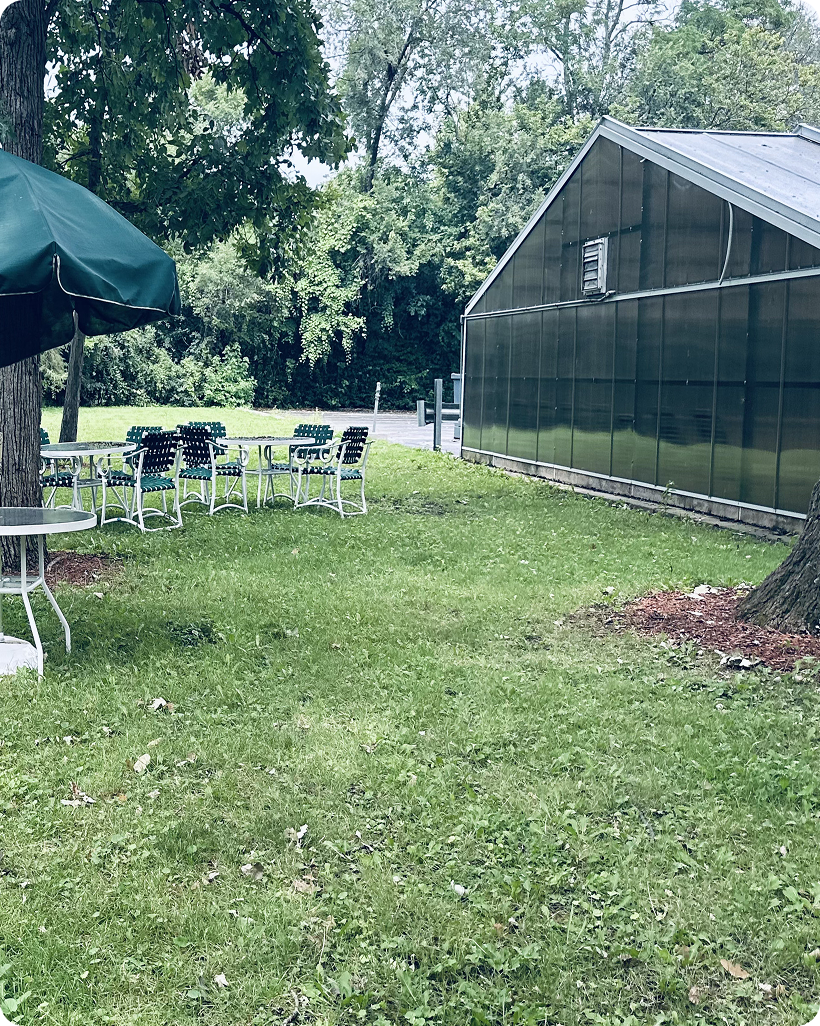 Casa Iskali retreat center garden and outdoors