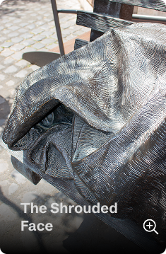 The Shrouded Face